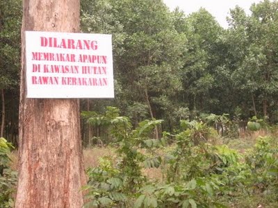 Dishutbun Bengkalis Siapkan Papan Plang Batas Hutan